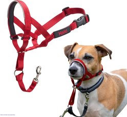 Halti Nylon Padded No Pull Dog Headcollar, Red, Size 1