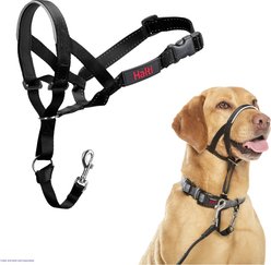 Halti Nylon Padded No Pull Dog Headcollar, Size 3: 15.5 to 21-in neck slide 1 of 4