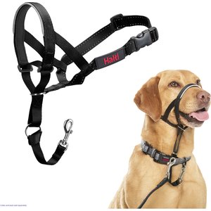 Halti Nylon Padded No Pull Dog Headcollar, Size 3: 15.5 to 21-in neck