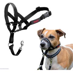 Halti Nylon Padded No Pull Dog Headcollar, Size 1: 12 to 15.5-in neck