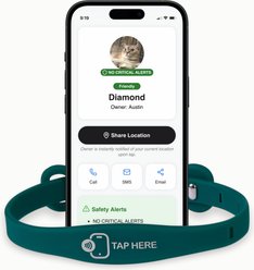 Furlegs TapSafe Dual-Stage Breakaway Smart ID & Medical Alert Cat Silicollar, Lush Meadow, Regular slide 1 of 8
