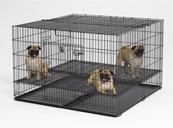 MidWest Homes for Pets Elevated Grate Double Door Wire Puppy Playpen Crate with 1/2-in Spacing, Grid & Pan Included, Black, X-Large