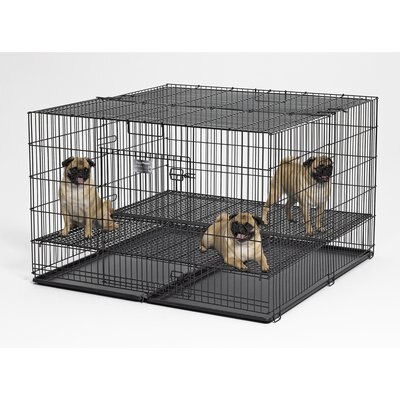MidWest Homes for Pets MidWest Homes for Pets Elevated Grate Double Door Wire Puppy Playpen Crate with 1/2-in Spacing, Grid & Pan Included, Black, X-Large
