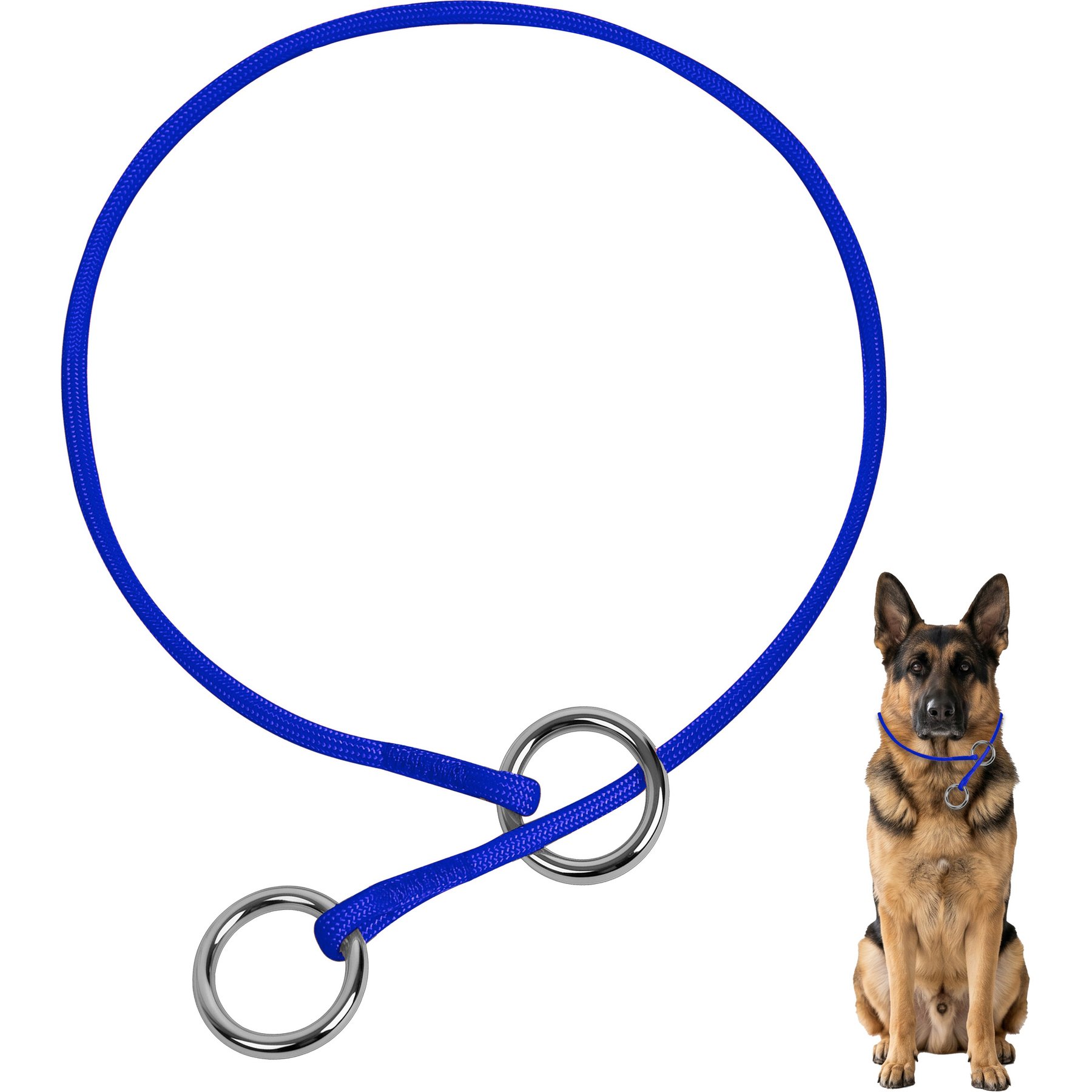 BARKBAY No Pull Slip Stainless Steel Ring Dog Training Collar, Sapphire Blue, 13.5 to 15.5-in neck, 3/8-in wide