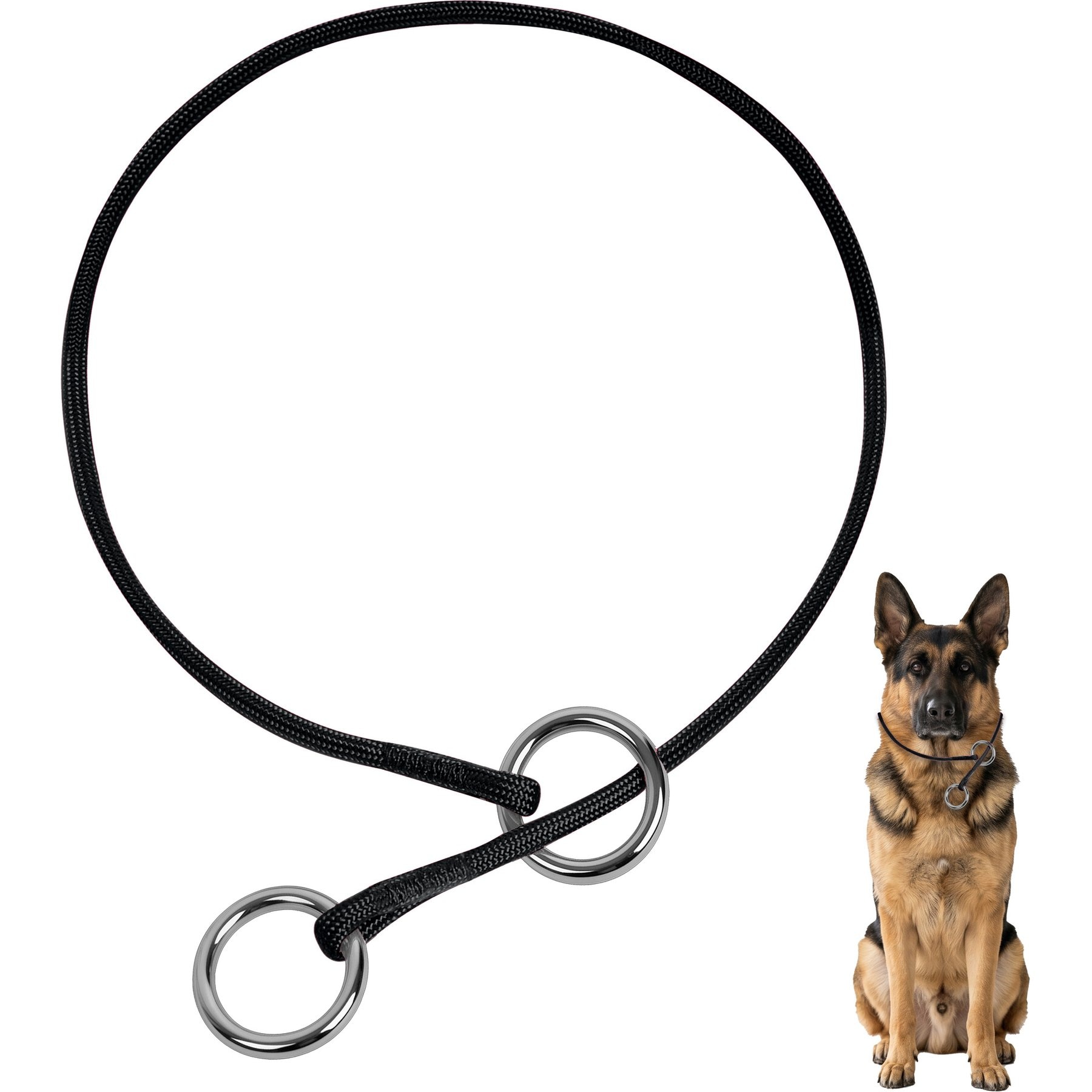 BARKBAY Competition-Style Ultra-Slim P/Q Loop No Pull Martingale Dog Collar with Stainless Steel Ring, Black, 15.5 to 17.5-in neck, 3/8-in wide