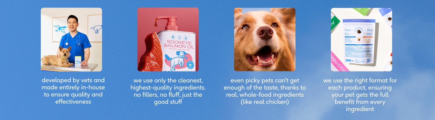 Native Pet product packaging is displayed alongside educational product information that highlights ingredient transparency and supplement benefits. The presentation emphasizes clearly labeled formulas, thoughtful ingredient selection, and easy-to-understand product details. The overall design supports the brand’s focus on quality, simplicity, and helping pet owners make informed decisions about their dogs’ health and wellness.