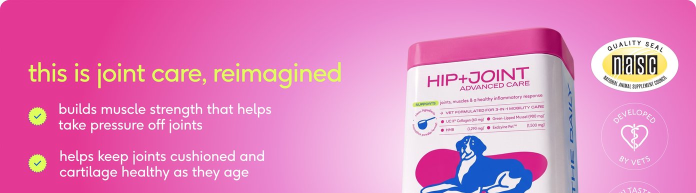 Native Pet Hip + Joint Advanced Care dog supplement is presented as a reimagined approach to joint health. The packaging highlights benefits including building muscle strength to reduce pressure on joints, helping keep joints cushioned and cartilage healthy with age, and supporting a healthy inflammatory response for faster recovery. The product container is shown alongside a scoop of powder and features claims such as NASC Quality Seal certification, veterinarian development, taste testing, clean-label ingredients, no artificial flavors, no fillers, and made in the USA.
