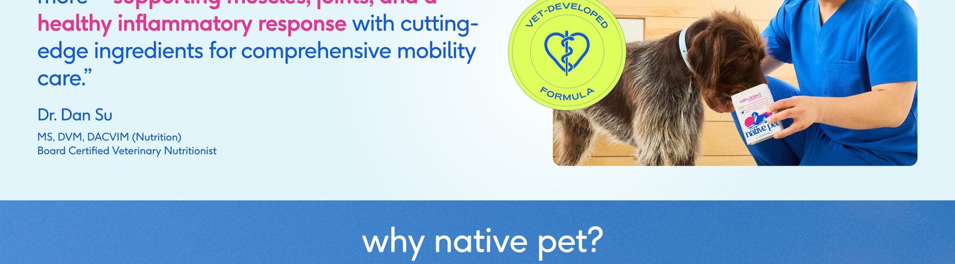 A veterinarian wearing blue scrubs stands beside a small dog while showcasing a Native Pet product, reinforcing the brand’s veterinary-led development process. The imagery supports messaging around professional expertise, in-house formulation, and a commitment to creating effective supplements for pets. The clean clinical setting and friendly interaction between the veterinarian and dog help communicate trust, care, and product credibility.