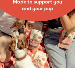 Pupford Summer BBQ Edition Natural Training Classic BBQ Chicken Soft & Chewy Dog Treats, 10-oz pouch slide 2 of 7