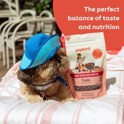 Pupford Summer BBQ Edition Natural Training Beef & Berries Soft & Chewy Dog Treats, 10-oz pouch slide 2 of 7