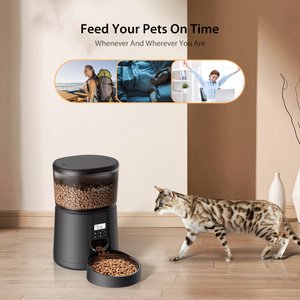 IMIPAW Dual Power Supply Small Dog & Cat Feeder, Black, 13-cup