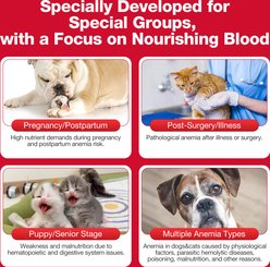 BeMate HemaLiver Care Post-Surgery & Anemia Support with Iron & Vitamins Liquid Supplement for Dogs & Cats, 60-mL slide 2 of 8