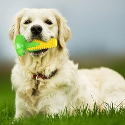 Kseroo Corn Stick Squeaky Suction Cup Toothbrush Dog Chew Toy slide 2 of 7