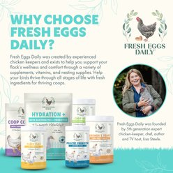 Fresh Eggs Daily Electrolytes & Probiotics Hydration Support Powder Chicken & Duck Supplement, 8-oz slide 2 of 9