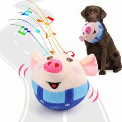 Kseroo Interactive Shaking Pig Ball Dog Toy, Red
