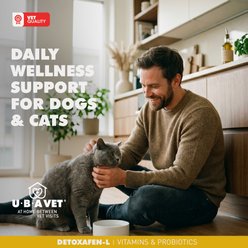 UBAVET Detoxafen-L Apple Flavored Liquid Liver Supplement for Dogs & Cats, 8-fl oz bottle slide 2 of 5