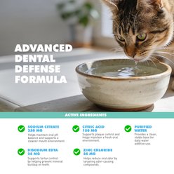 UBAVET Tartar Control Dog & Cat Dental Water Additive, 16-fl oz bottle slide 2 of 5