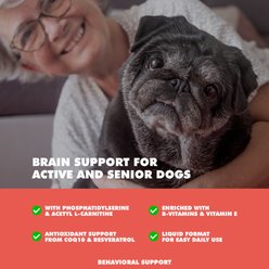 UBAVET Senior Care Capsules Brain & Nervous System Supplement for Dogs, 90 count slide 2 of 4