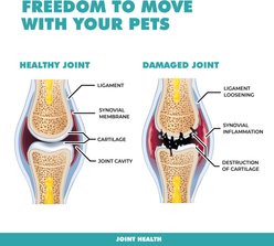 UBAVET Joint Plus Vanilla Flavored Liquid Joint Supplement for Dogs & Cats, 8-fl oz bottle slide 2 of 4