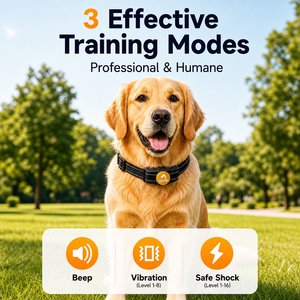 PATPET P320 1000ft Remote Dog Training Shock eCollar, Small, Black 1 count