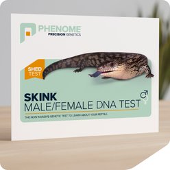 Phenome Skink Male/Female Reptile DNA Test, 1 count