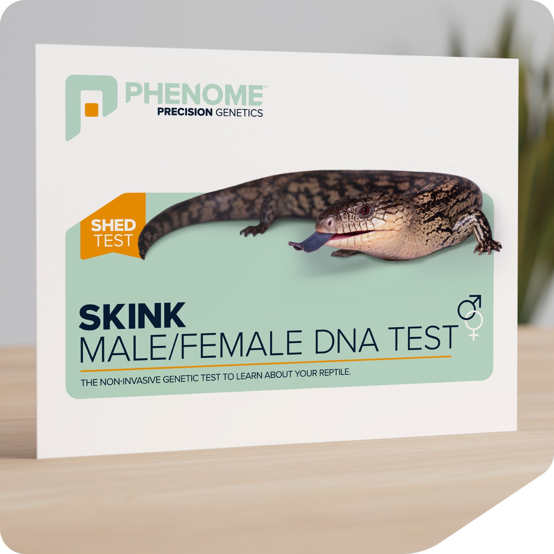 Phenome Skink Male/Female Reptile DNA Test, 1 count