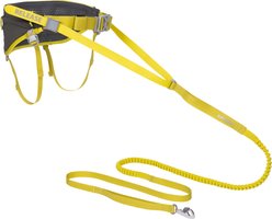 Ruffwear Omnijore Joring System Dog Harness, Lichen Green, Small: 22 to 27-in chest