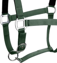 Centaur Solid Cushion Padded Breakaway Horse Halter, Hunter Green, Horse slide 2 of 6