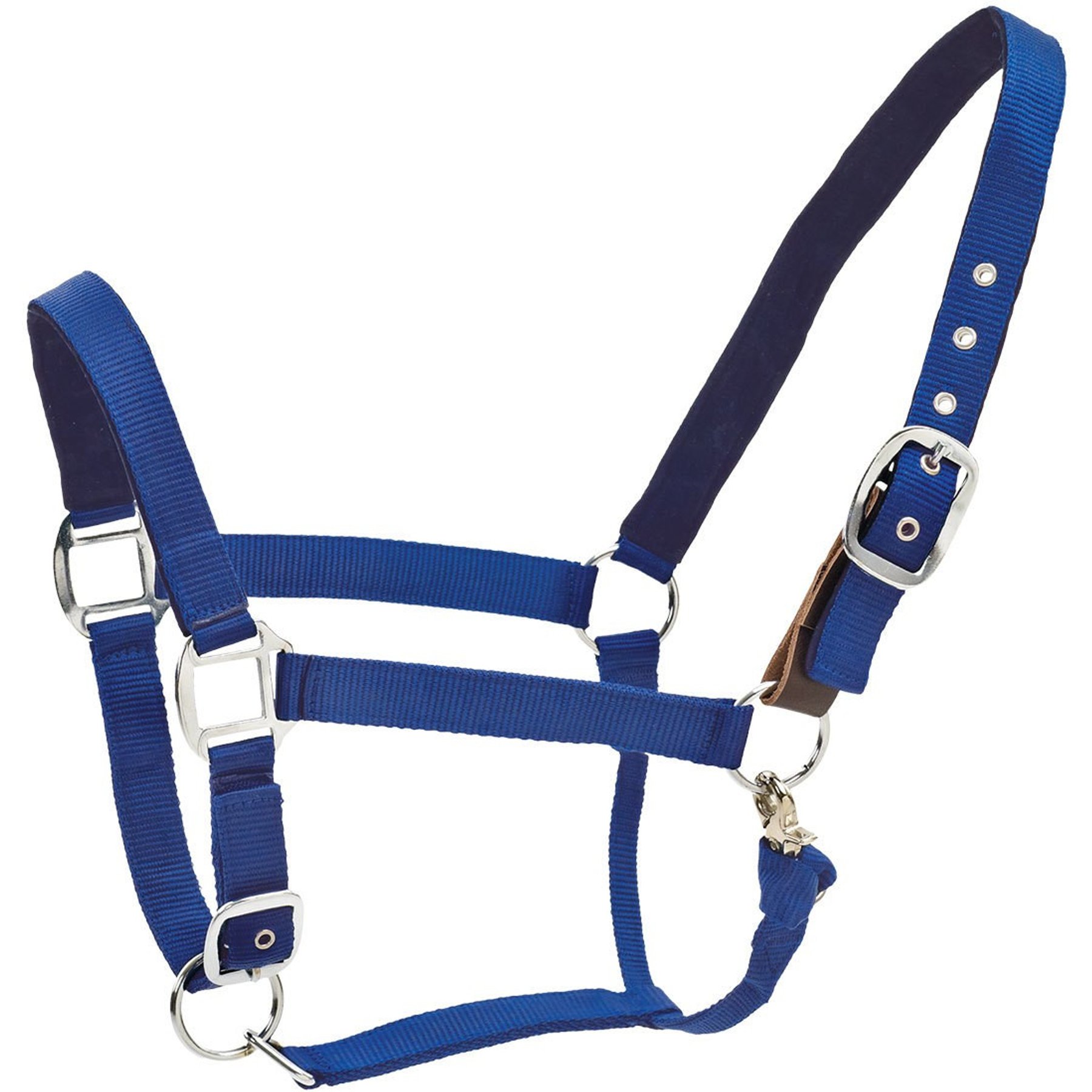 Centaur Solid Cushion Padded Breakaway Horse Halter, Royal Blue, Oversize