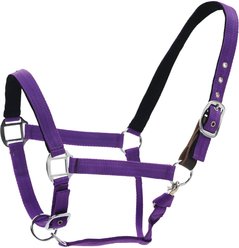 Centaur Solid Cushion Padded Breakaway Horse Halter, Purple, Pony