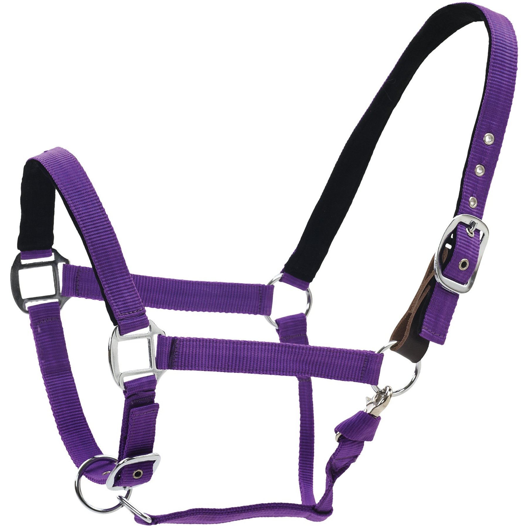 Centaur Solid Cushion Padded Breakaway Horse Halter, Purple, Cob