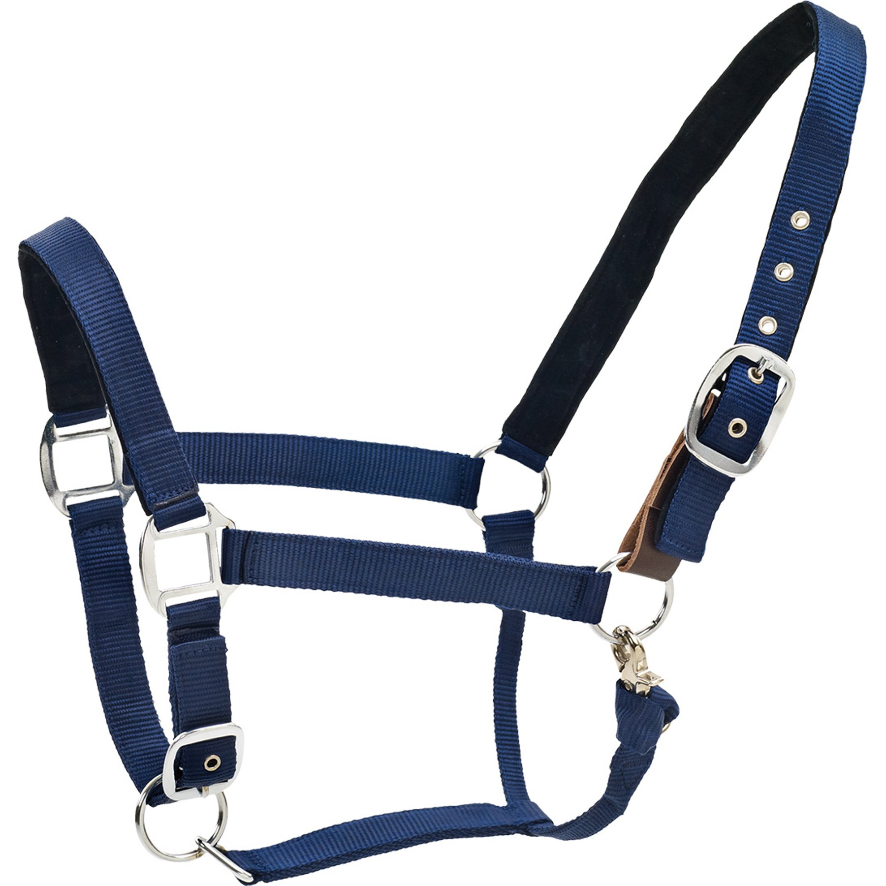 Centaur Solid Cushion Padded Breakaway Horse Halter, Navy, Oversize