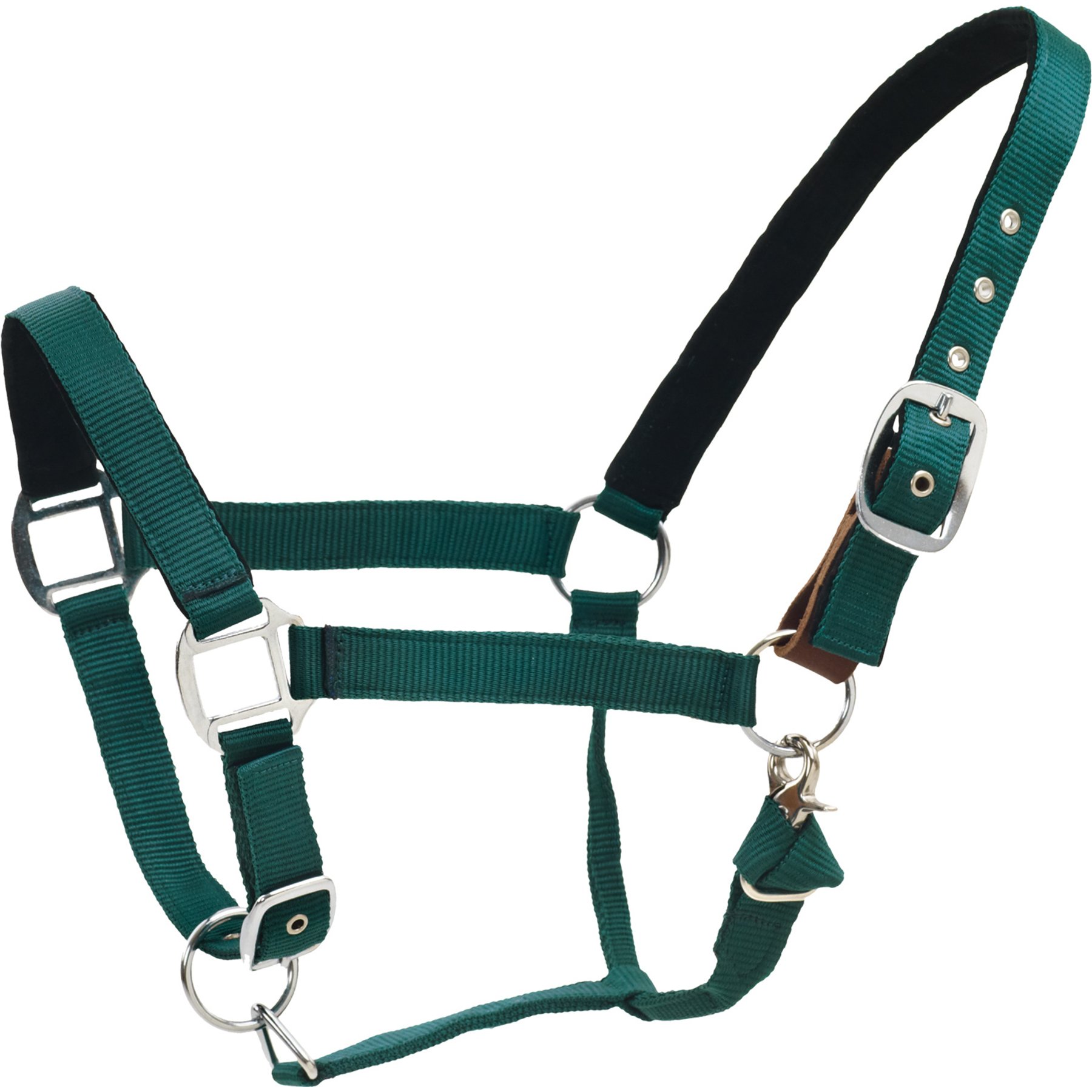 Centaur Solid Cushion Padded Breakaway Horse Halter, Hunter Green, Horse