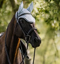Ovation Lucky Horse Fly Bonnet, Sea Grey, Full