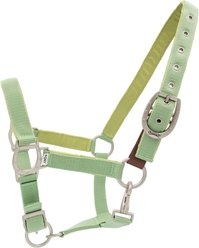 Ovation Lucky Adjustable Breakaway Horse Halter, Cactus, Cob slide 1 of 2
