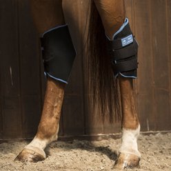 Lami-Cell Therapeutic Gel Horse Ice Hock Boots, Black Blue, Full slide 1 of 5