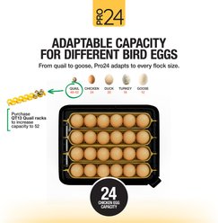 Hatching Time Pro24 Tabletop Automatic Chicken 24 Egg Incubator slide 2 of 9