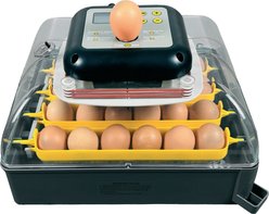 Hatching Time Pro24 Tabletop Automatic Chicken 24 Egg Incubator