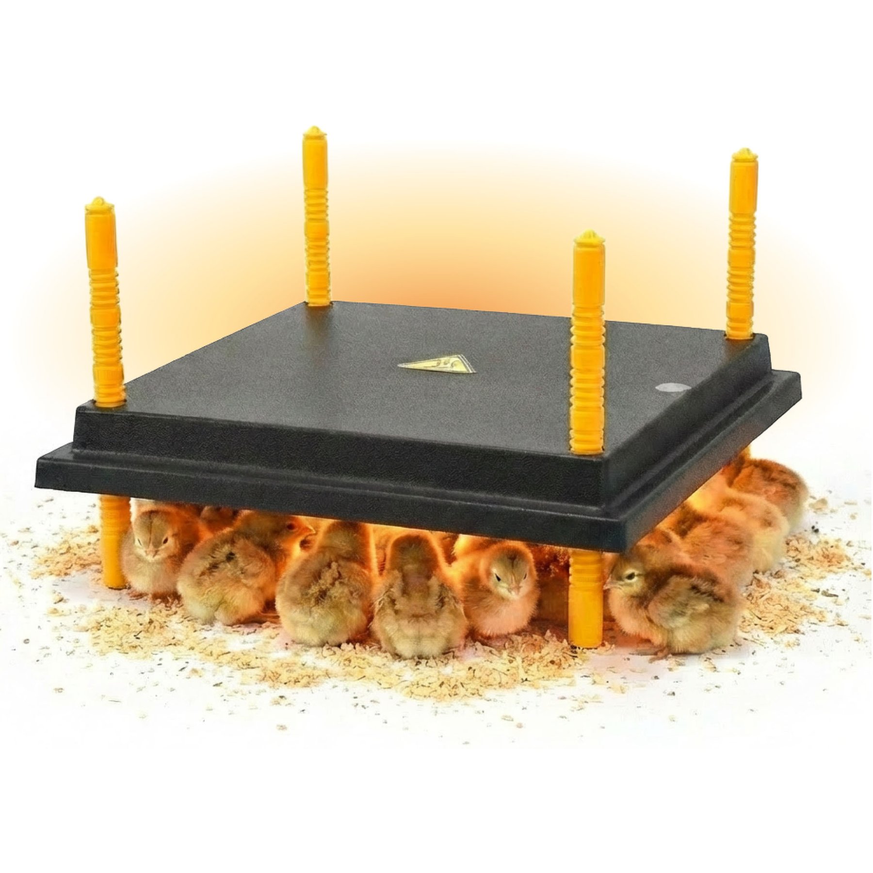 Hatching Time Warmzy Heating Plate Poultry Chick Brooder, 10 x 12-in