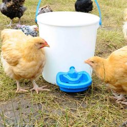 Hatching Time Maxicup Automatic Drinker Poultry Waterer slide 2 of 7
