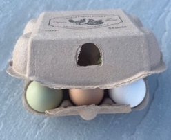 Zylina Value Pack Egg Cartons Holds 6 Eggs, 50 count slide 2 of 9