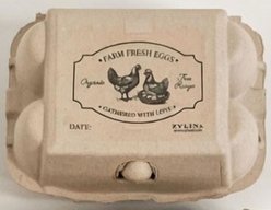 Zylina Value Pack Egg Cartons Holds 6 Eggs, 50 count