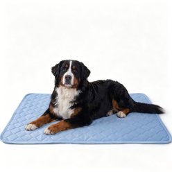 PatiencET Cooling Pad with Leakproof TPU Layer Dog Crate Mat, Blue, 40x50-in