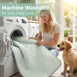 PatiencET Q-Max Dog Crate Mat, Green, 28x40-in slide 2 of 7