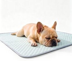 PatiencET Q-Max Dog Crate Mat, Green, 22x28-in