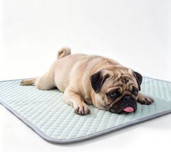 PatiencET Q-Max Dog Crate Mat, Green, 28x40-in