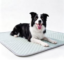 PatiencET Q-Max Dog Crate Mat, Green, 32x44-in