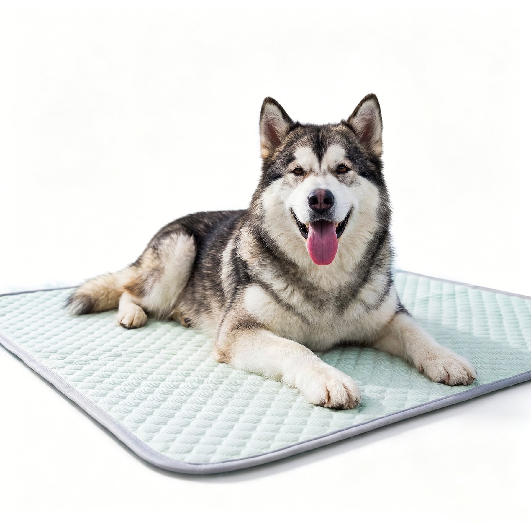 PatiencET Q-Max Dog Crate Mat, Green, 40x50-in