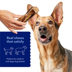 Chewy Made Roasted Marrow Bone 6" Dog Treat (FORMERLY BONES & CHEWS), 1 count slide 2 of 8