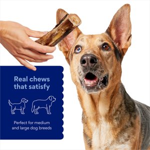 Chewy Made Roasted Marrow Bone 6" Dog Treat (FORMERLY BONES & CHEWS), 1 count
